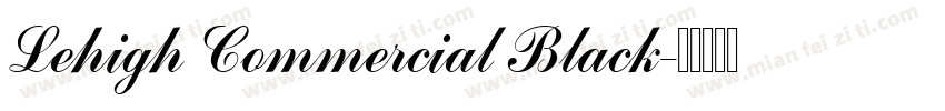 Lehigh Commercial Black字体转换